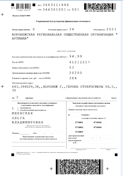 Финансовая отчетность